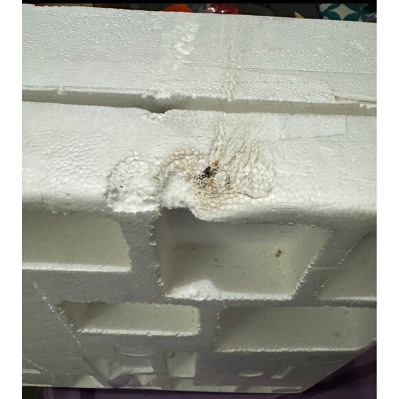 2002 Grandeur Noel MARY Nativity Christmas Figurine (Complete Set) lightly used - Picture 12 of 12